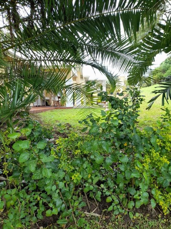 포트에드워드 19 Montego Bay Caribbean Estate 아파트 외부 사진